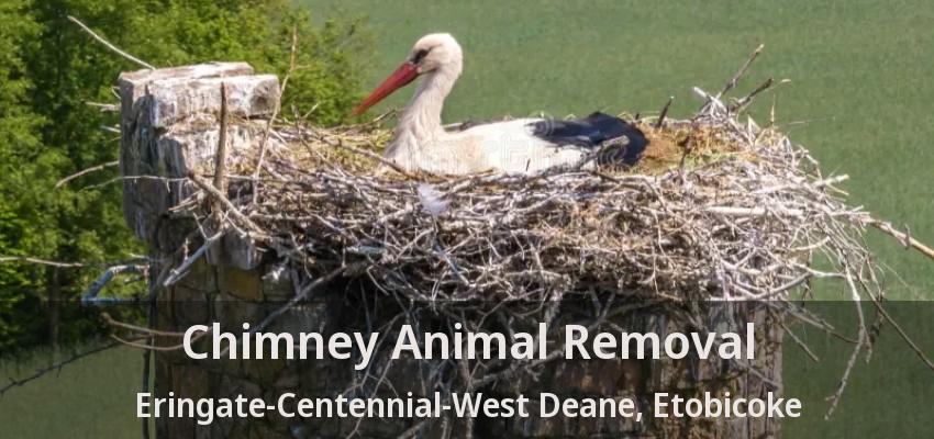 Chimney Animal Removal Eringate-Centennial-West Deane, Etobicoke - ON