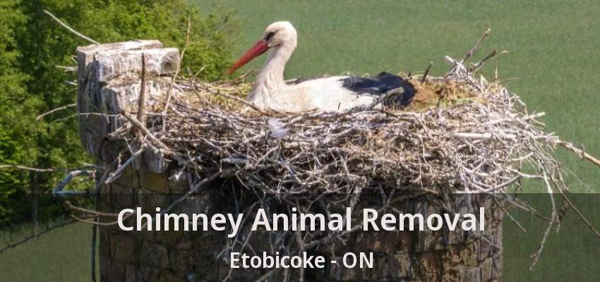 Chimney Animal Removal Etobicoke - ON