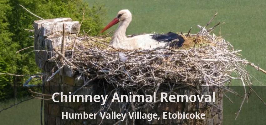 Chimney Animal Removal Humber Valley Village, Etobicoke - ON