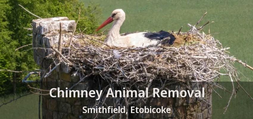 Chimney Animal Removal Smithfield, Etobicoke - ON