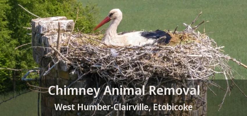 Chimney Animal Removal West Humber-Clairville, Etobicoke - ON