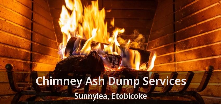 Chimney Ash Dump Services Sunnylea, Etobicoke - ON
