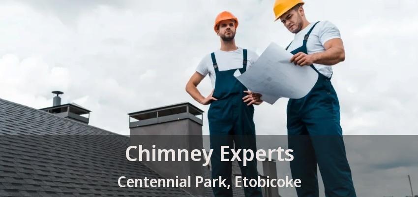 Chimney Experts Centennial Park, Etobicoke - ON