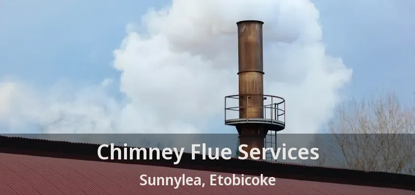 Chimney Flue Services Sunnylea, Etobicoke - ON