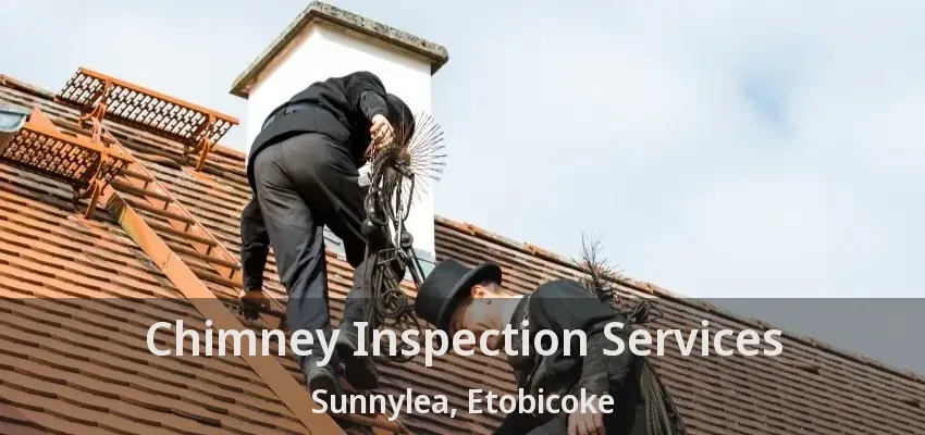 Chimney Inspection Services Sunnylea, Etobicoke - ON