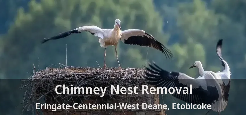 Chimney Nest Removal Eringate-Centennial-West Deane, Etobicoke - ON
