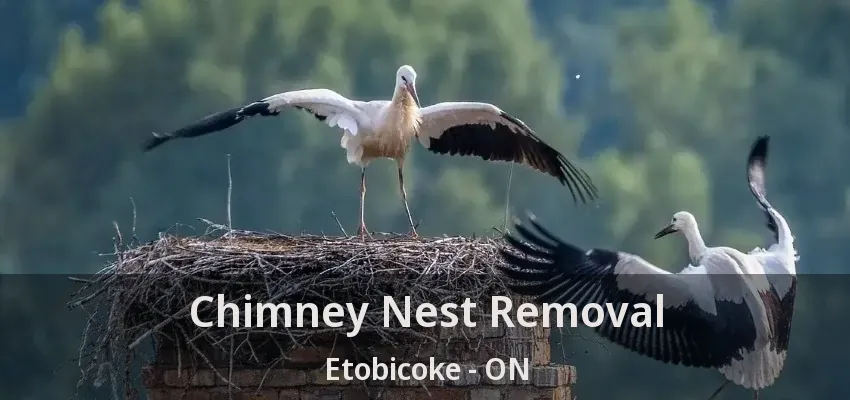 Chimney Nest Removal Etobicoke - ON