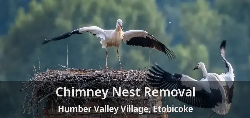 Chimney Nest Removal Humber Valley Village, Etobicoke - ON