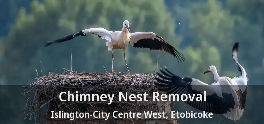 Chimney Nest Removal Islington-City Centre West, Etobicoke - ON