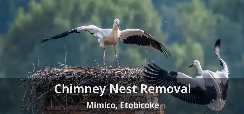 Chimney Nest Removal Mimico, Etobicoke - ON