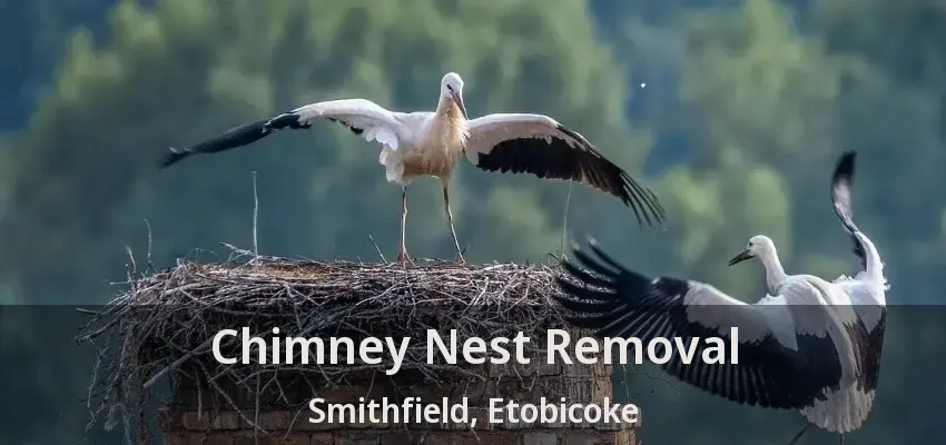 Chimney Nest Removal Smithfield, Etobicoke - ON