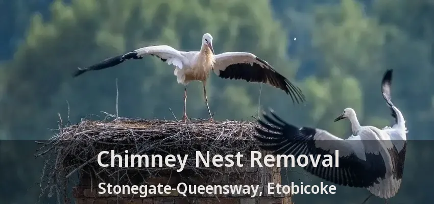 Chimney Nest Removal Stonegate-Queensway, Etobicoke - ON