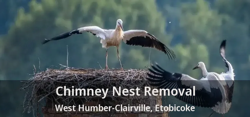 Chimney Nest Removal West Humber-Clairville, Etobicoke - ON