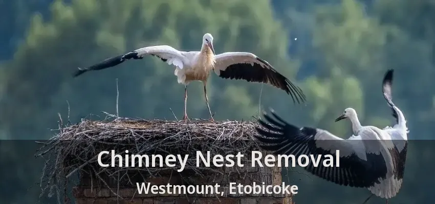 Chimney Nest Removal Westmount, Etobicoke - ON