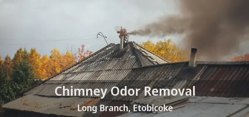 Chimney Odor Removal Long Branch, Etobicoke - ON