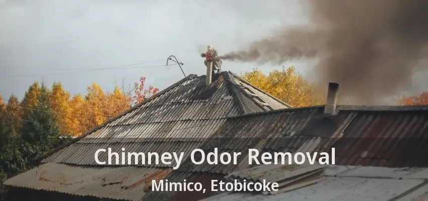 Chimney Odor Removal Mimico, Etobicoke - ON