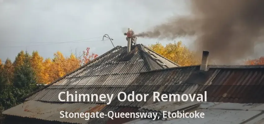Chimney Odor Removal Stonegate-Queensway, Etobicoke - ON
