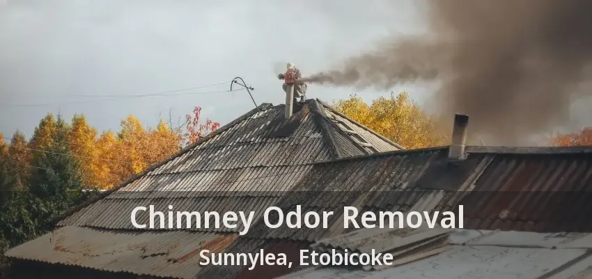 Chimney Odor Removal Sunnylea, Etobicoke - ON
