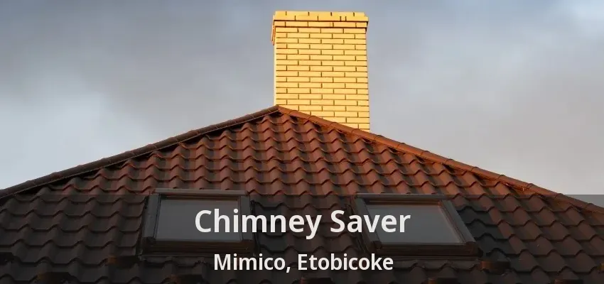 Chimney Saver Mimico, Etobicoke - ON