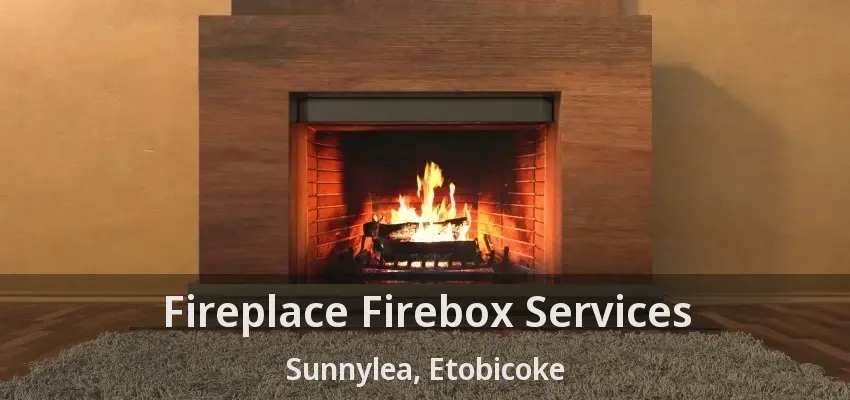Fireplace Firebox Services Sunnylea, Etobicoke - ON