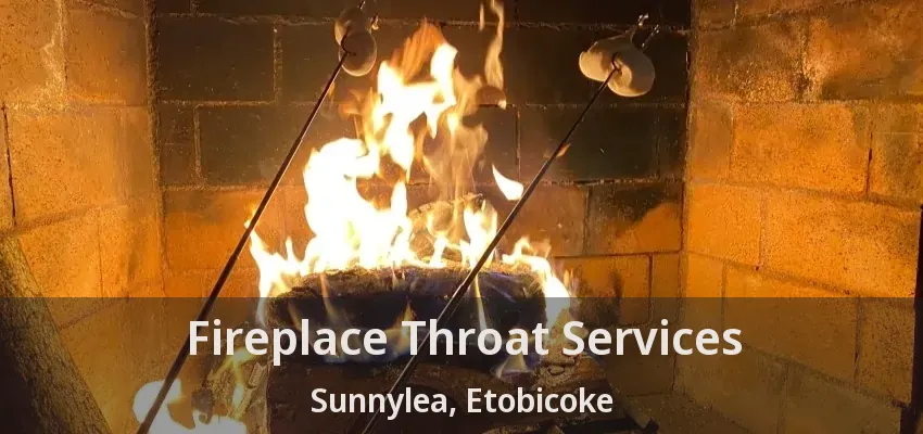 Fireplace Throat Services Sunnylea, Etobicoke - ON