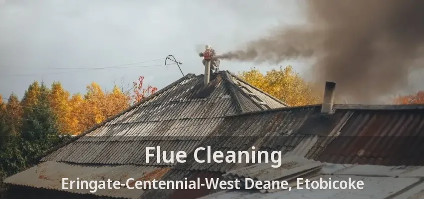 Flue Cleaning Eringate-Centennial-West Deane, Etobicoke - ON