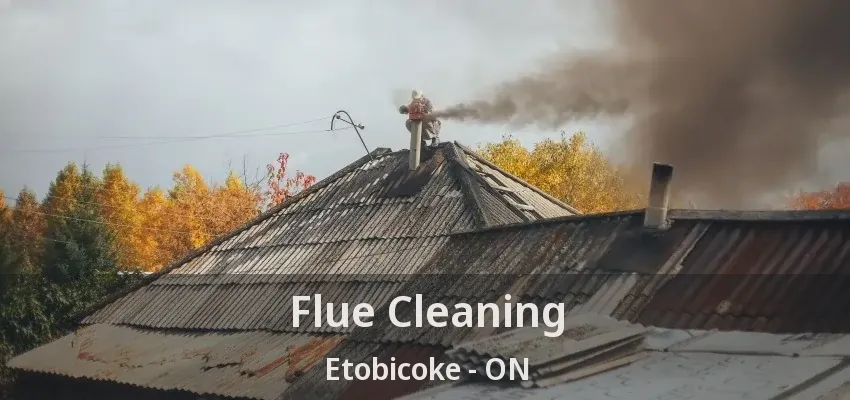 Flue Cleaning Etobicoke - ON