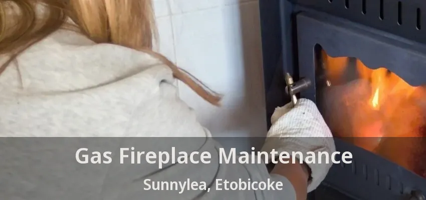 Gas Fireplace Maintenance Sunnylea, Etobicoke - ON