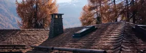 Chimney Animal Removal Etobicoke